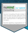 Numid Consulting our special partner